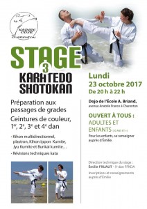 stage karaté adultes